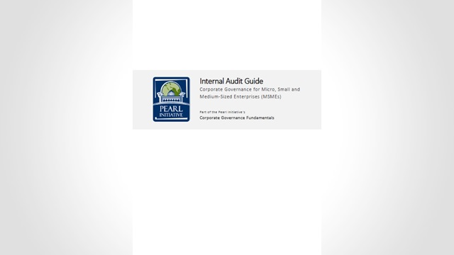 Internal Audit Guide