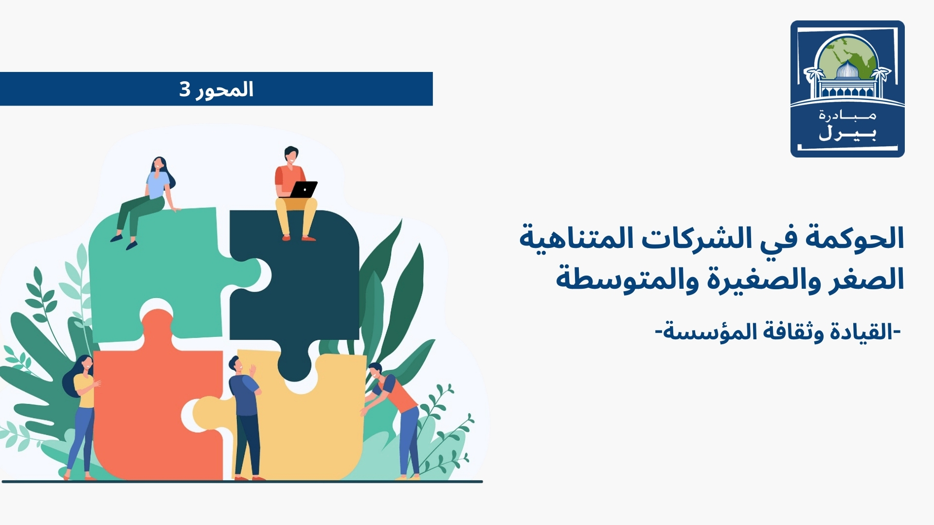 دليل الحوكمة المؤسسية للشركات المتناهية الصغر والصغيرة والمتوسطة – المحور 3